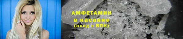 прущие грибы Няндома