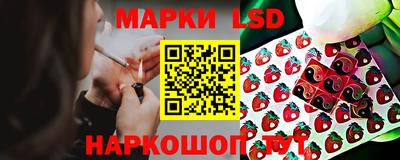 скорость Бийск