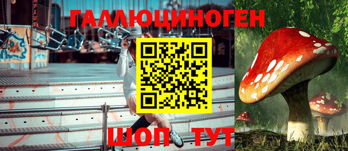Псилоцибиновые грибы мухоморы Арсеньев