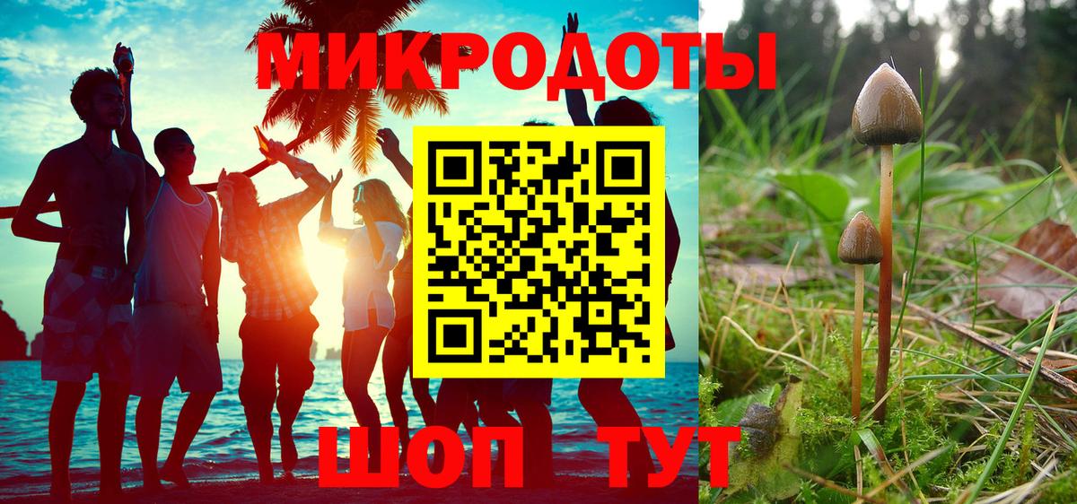 купить закладку  Вход с VPN  Арсеньев  Галлюциногенные грибы прущие грибы  Псилоцибиновые грибы Psilocybine cubensis 
